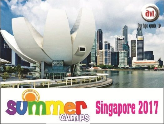 du hoc he singapore 2017